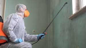 Why You Should Choose Our Mold Remediation Services in Oak Hills Place, LA